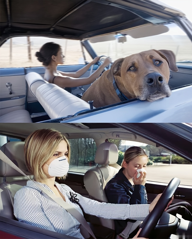usb powered car compact quiet odor eliminator for pet food and smoke smells with solar panel option details 2